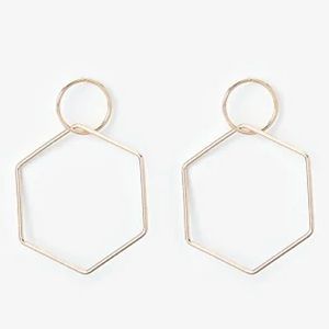 Express Hexagon Drop Earrings